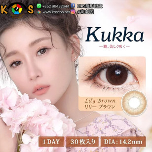 Kukka 1Day Lily Brown